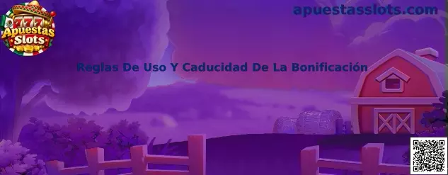 Reglas de Uso y Caducidad de la Bonificación