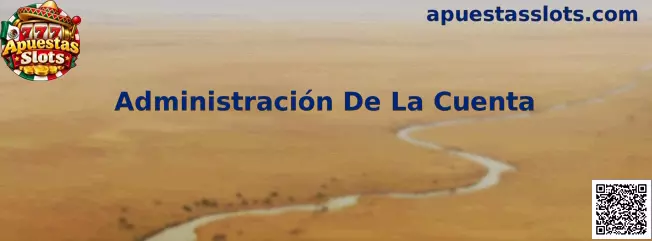 Administración De La Cuenta en Apuestas Slots